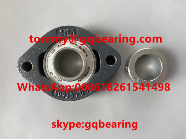 Cast Iron Material INA FLCTE25-XL Two-Bolt Flange Housing Units Pillow Block Bearing
