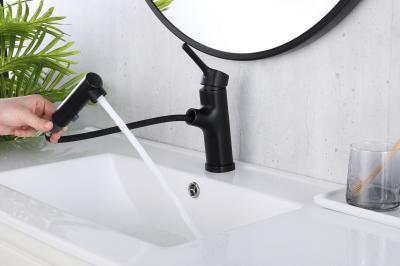 T&F Polished Bathroom Faucet With Pull Down Sprayer Surface Mounted