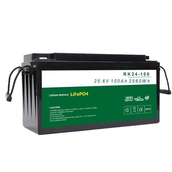 Batterie au lithium de haute efficacité 12V 20AH 6000 cycles conception à poids plume pour l'utilisation du véhicule