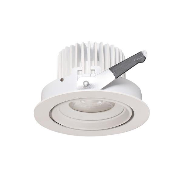 35W led cob down light 350° adjustable 0-10V / 1-10V dimmable white led ceiling down light