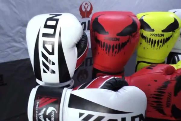 OEM Logo Leather Boxing Gym Equipments 6OZ 10OZ Professional Boxing Gloves