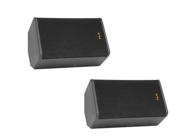 Stadium Brich Plywood  Live Sound Speakers / Stage Monitor Speakers 