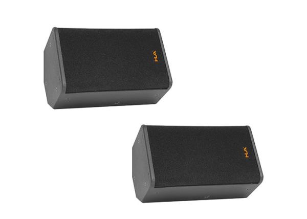 Stadium Brich Plywood  Live Sound Speakers / Stage Monitor Speakers 