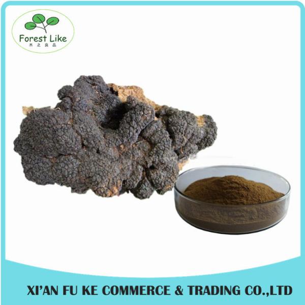 Natural Treat Diabetes Innocuous Health Products Chaga Mushroom Extract Powder with Polysaccharides,Betulin