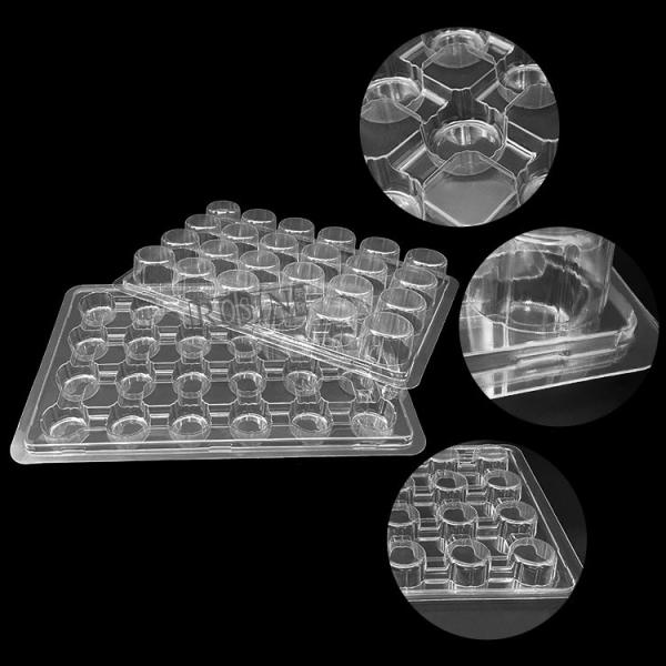 Customized Plastic Bakery Packaging Blister 24 Count Cupcake Containers