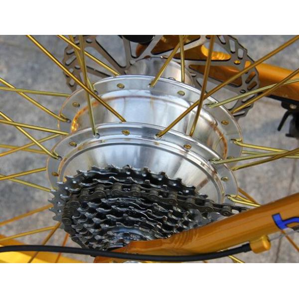 21 Speed Gear 350w 26 Inch Electric Fat Bike