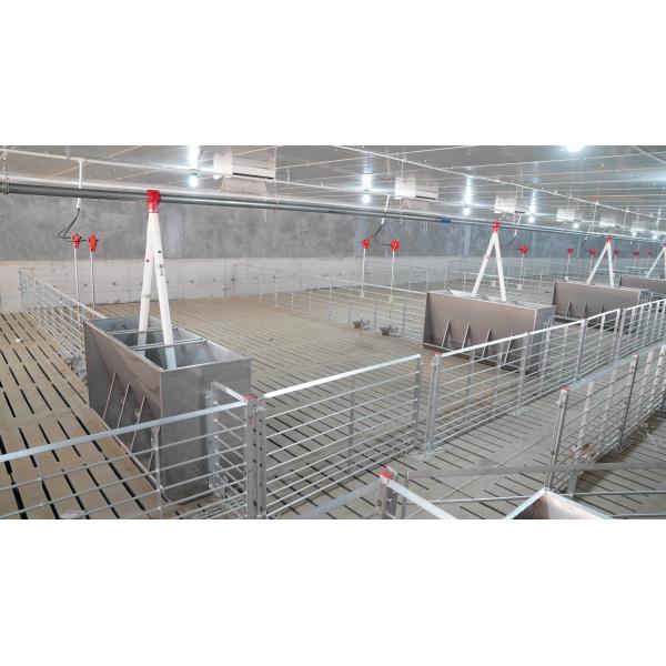 Weaning Pig Stainless Steel Feed Trough Food Trough For Pigs