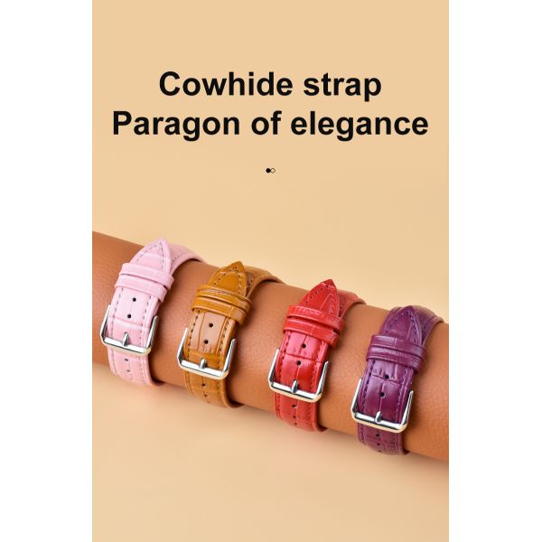 304/316 Stainless Steel Buckle Genuine Leather Strap
