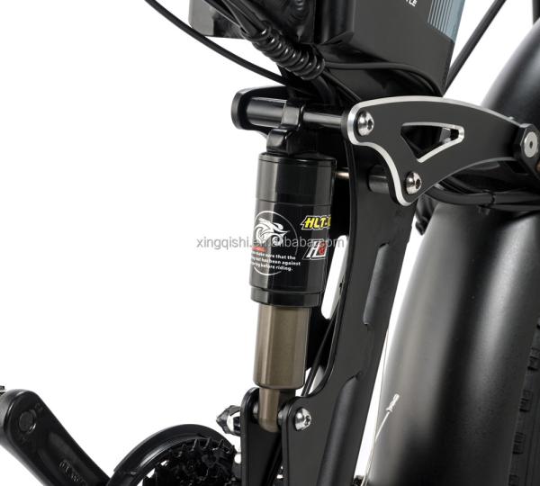 26 Inch Fat Tire Ridstar Electric Bike