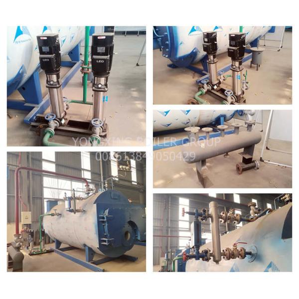 Stainless Steel High Efficiency Gas Boiler , Natural Gas Steam Boiler