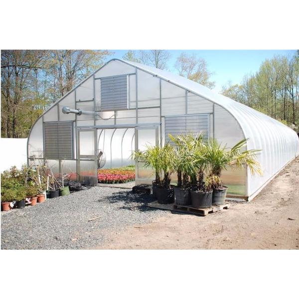 Tomatoes Vertical Hydroponic System for Multi-Span Greenhouse Sales in Netherlands