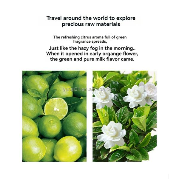 Floral Scent Women's Eau de Toilette 100mL Long Lasting Light Aroma by Tom Ford Perfumes