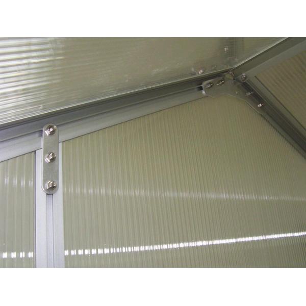 Medium Size Aluminium Greenhouse Heat Treated Pressure Treated Wood Type for Plant Growth