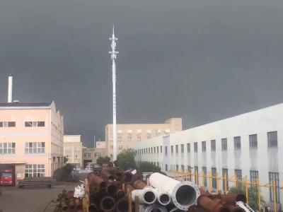 Tipo única torre móvel da plataforma de Lte da pilha de Polo