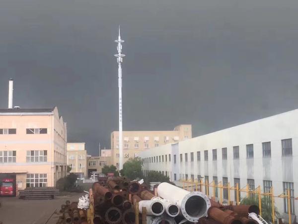 Lte Platform Type Single Pole Mobile Cell Tower