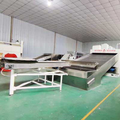 Zones de Chili Belt Dryer Multiple Drying de contrôle de précision