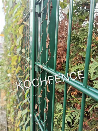 Low Carbon Steel Twin Wire Fence , Vinyl Coated Wire Fence 50 X 200 mm