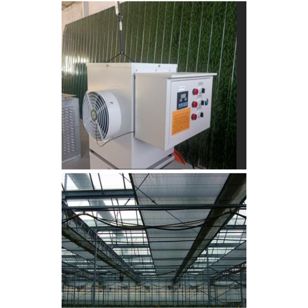 Serre intelligente en verre de type Venlo pour la culture de haricots