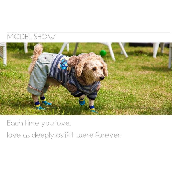 Christmas Pet Socks Add Some Festive Fun to Your Pet's Paws with These Socks