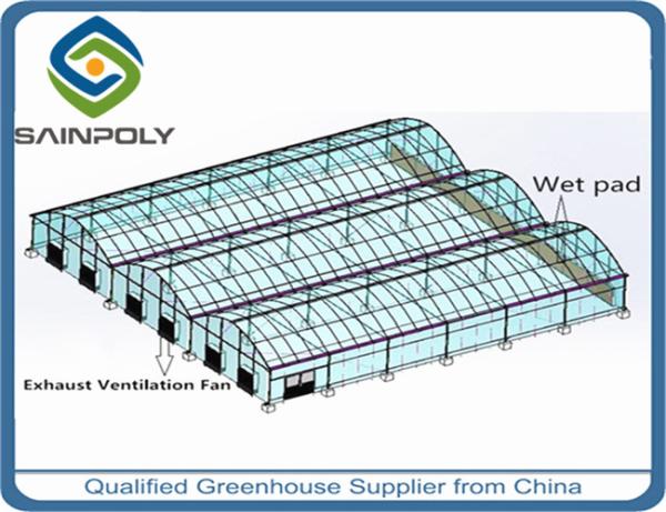 UV Radiation Protection Layer 120km/H Multi Span Greenhouses