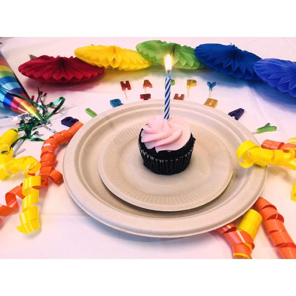 Plastic Alternative Eco-Friendly Natural Plant Fiber 9 Inch Compostable Plate