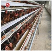 Un tipo pollo de la capa enjaula la alimentación fría del pórtico de la galvanización