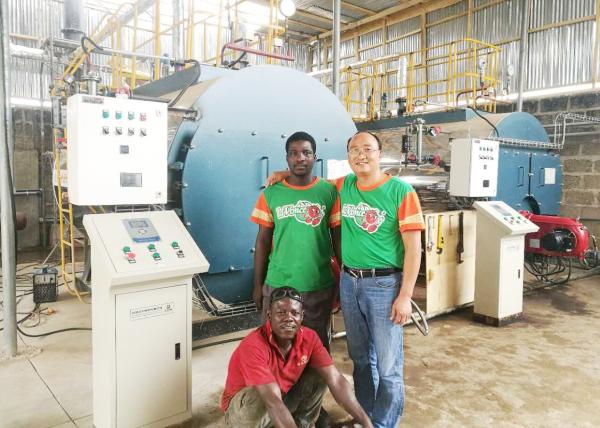 Horizontal Gas Oil Fuel Fired Boiler Steam Ouput Under Low Pressure