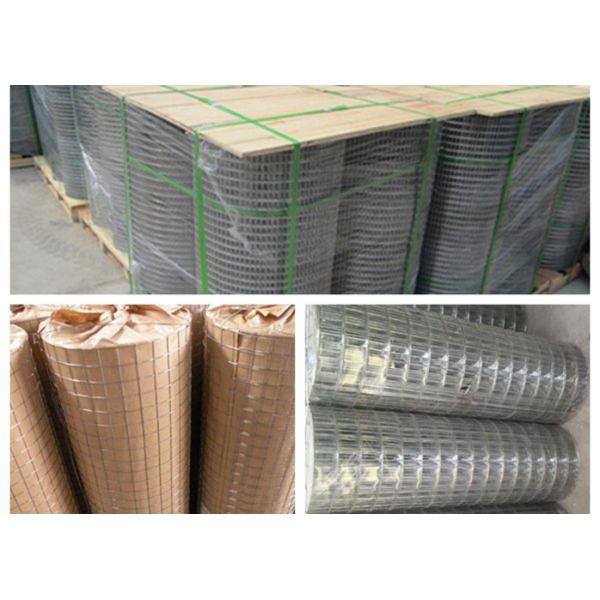Professional Galvanised Steel Mesh Fence Panels 50X150 For Metal Cage