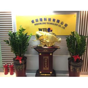 Wisdomlong Technology CO.，LTD
