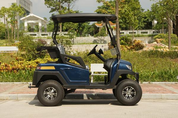 Four Wheels 2 Passengers Electric Golf Buggy 48V Battery Powered