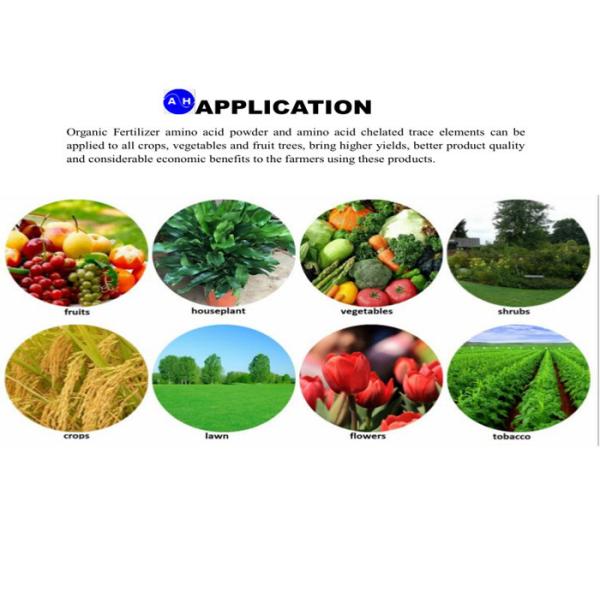 Professional Plant Origin Compound Amino Acid Powder 70% Biological Fertilizer