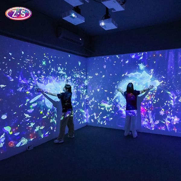 Multi Zone Immersive Projection Synchronized Effects Whole Room Coverage
