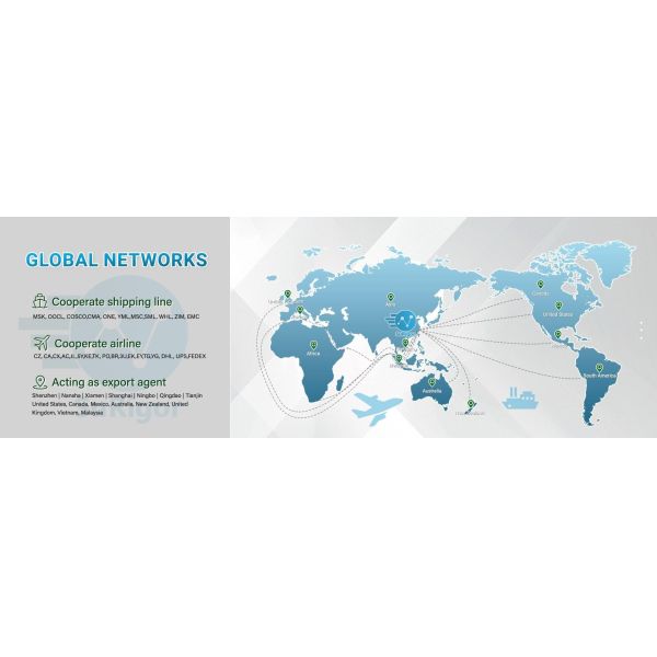 From China FCL Freight Forwarding To Los Angeles Long Beach With 20GP 40GP 40HQ Containers
