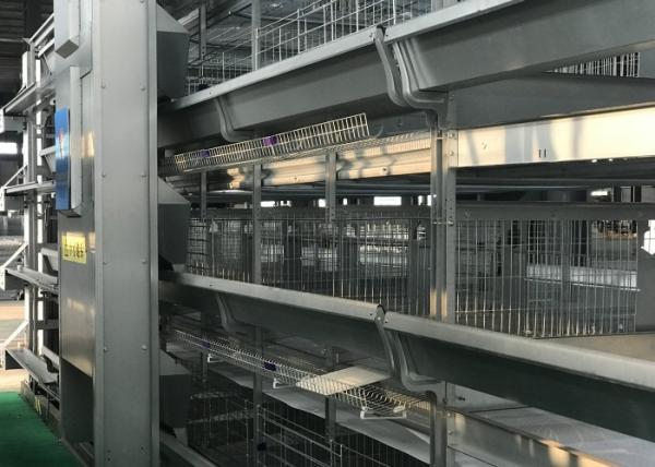 Energy Saving Chicken Farm Poultry Equipment Safety For Manure Removal