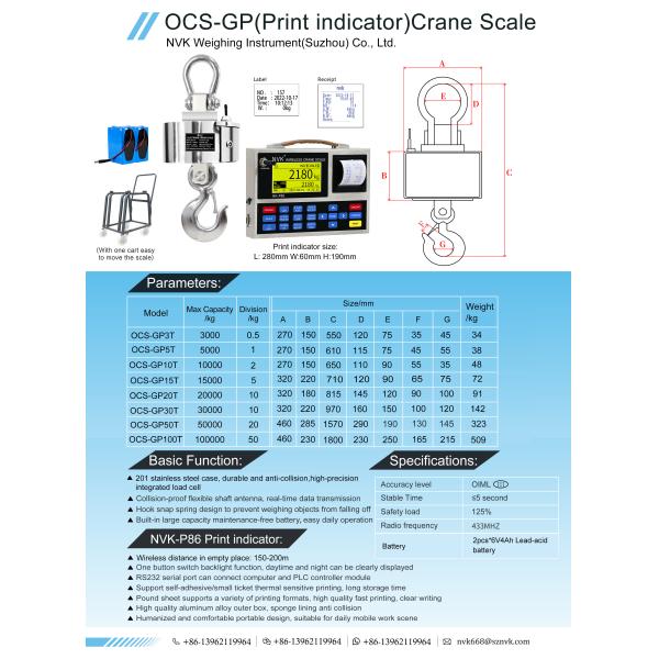 OCS-G series steel crane scale