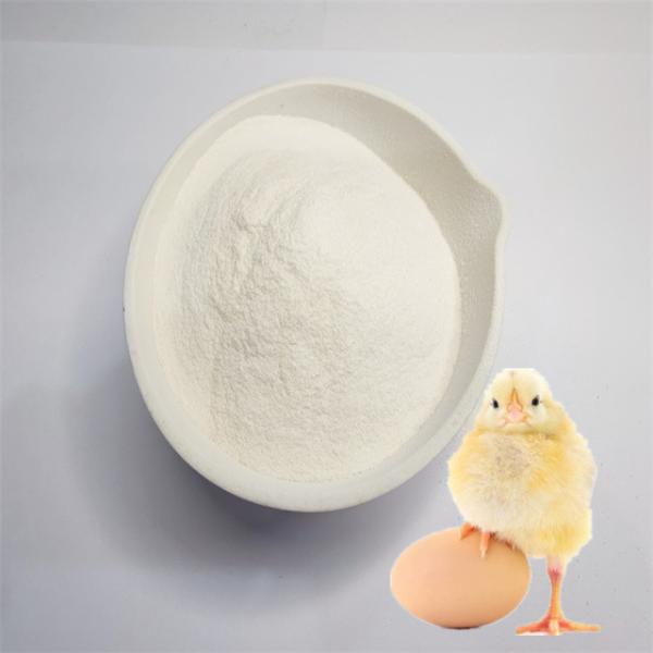 Organic Calcium 18% Chelate for Chicken Feed Strong Eggshells