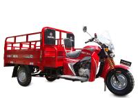 Type de corps ouvert motorisé de la moto 250W de cargaison de la roue 150CC trois