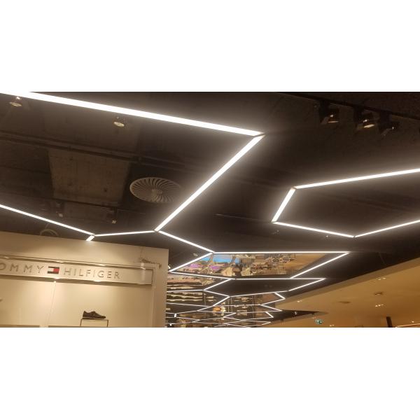 Branch Linear Suspension Lighting Customized LED Light For Office And Home