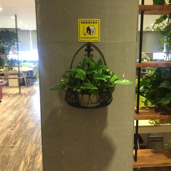 Green Flower Stand Hanging Wall Indoor Balcony Hanging Semi-Circular Flower Stand