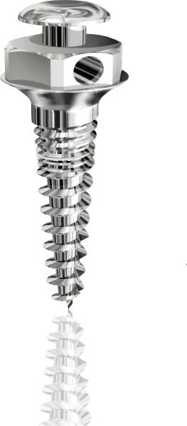 Titanium Alloy Dental Orthodontic Mini Screws 1.6x6 1.6x8 1.6x10 1.6x12 Size