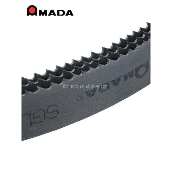 SS Steel Material Metal Saw Blade with Customizable Thickness
