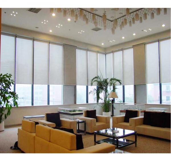 Motorized Retractable Window Awnings Outdoor Sunscreen Roller Blinds Fabric UV Protection