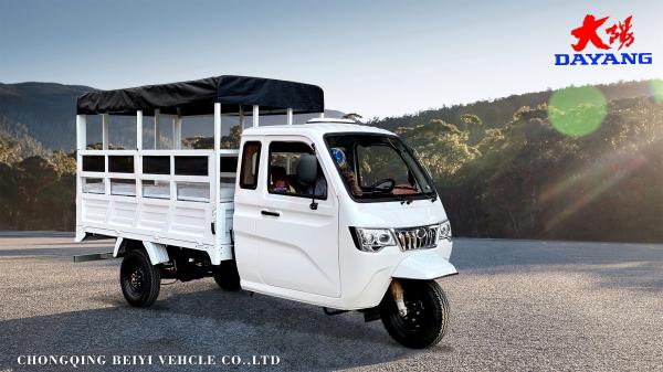 Triciclo de carga motorizado de semi-cabine de 800W com cabine fechada e tampa de carga de plástico