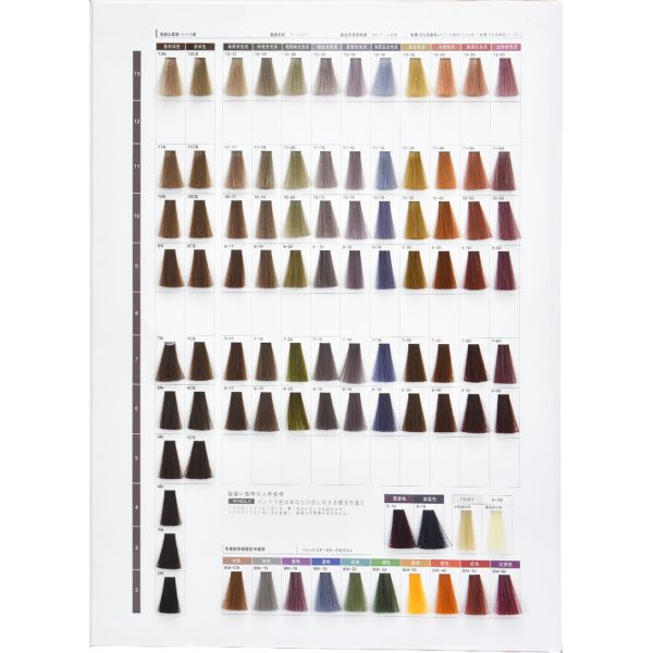 Natural Herbal Hair Color Cream Professional Salon Hair Dye Low Ammonia Protein Care Philippine