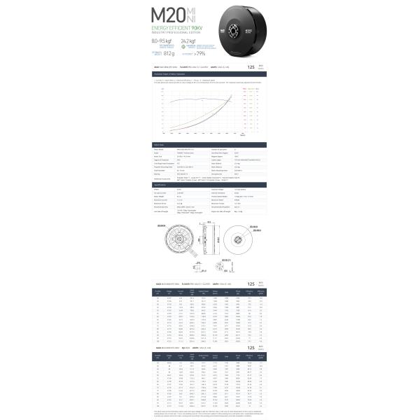 M20 MINI IPE Бесбросовый беспилотный двигатель постоянного тока длина кабеля 150 мм