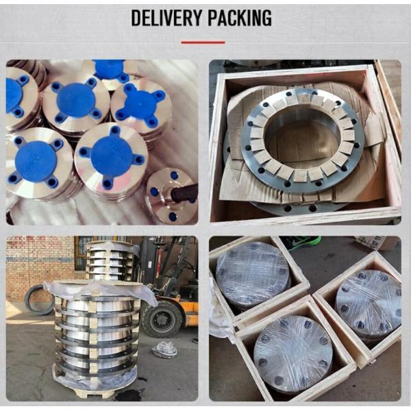 Cara plana forjada reborde ciego del acero de carbono de ASTM A105