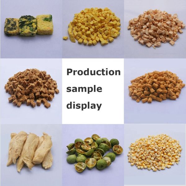 CE Certified High Efficiency Low Energy Consumption Food Lyophilization Equipment Freeze Dry Machine
