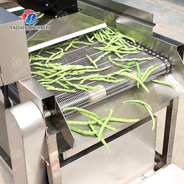 Fruit and vegetable washing and vibrating drying production line Fruit Vegetable FOOD processing production Machine Versatile and Durable Fruit Vegetable Processing Line for Your Business Processin