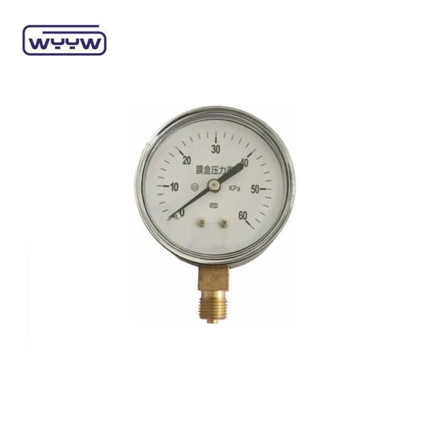 Bellows Type Capsule Pressure Gauge 63mm InH2O Manometer 100 Mbar