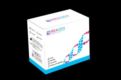 CHV Real Time PCR In Vitro Diagnostic Test Kits For Fluorescence